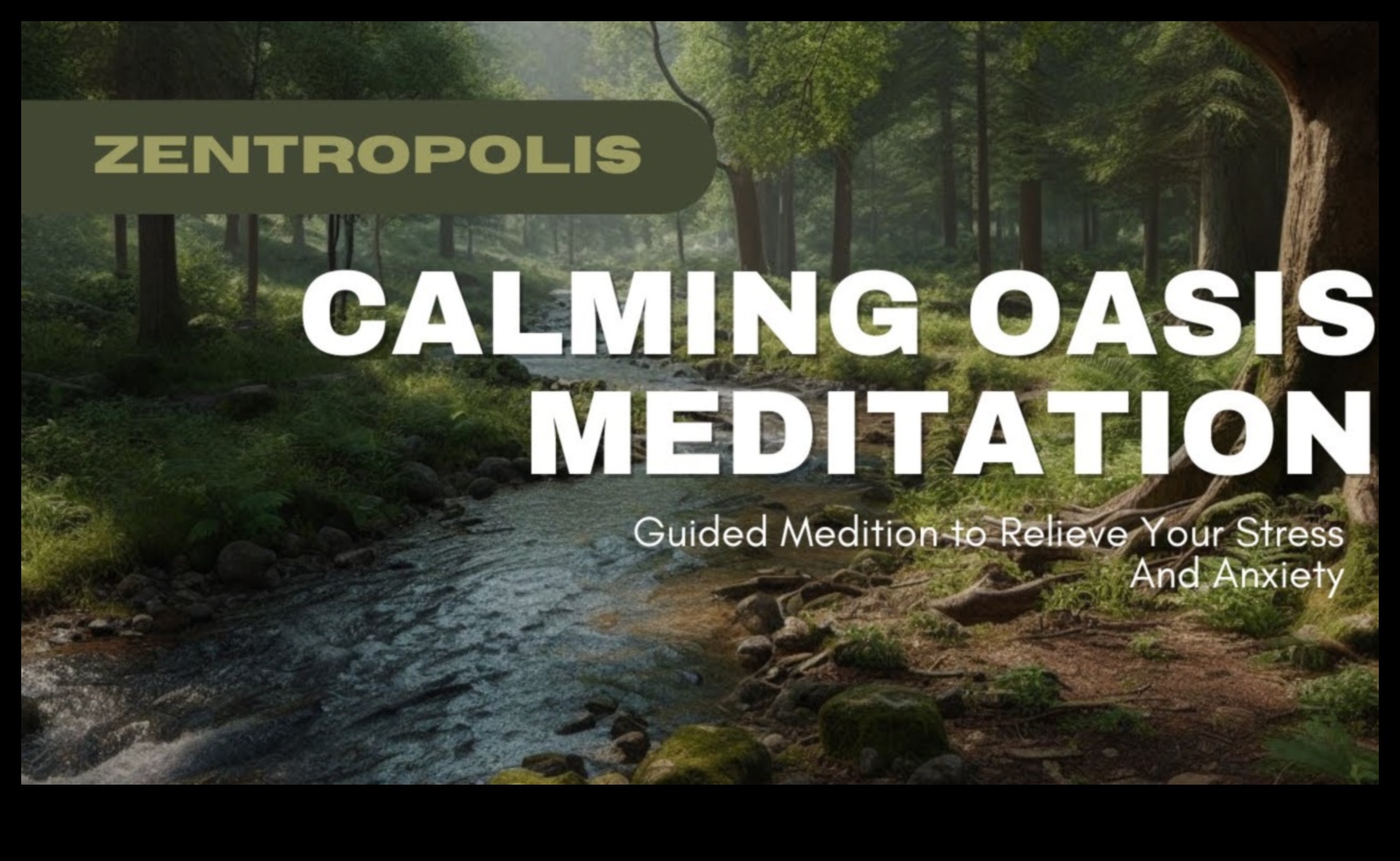 Calm Oasis: Meditasyonla Günlük Stres Azaltma Kilidini Açın