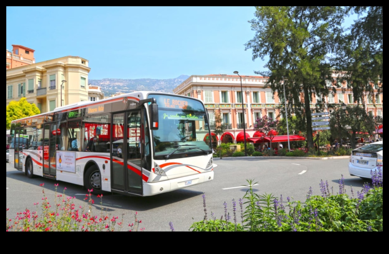 Otobüs Yolculuğu: Rehberli Turlarla Şehir Sokaklarında Gezinme