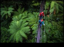 Canopy Chronicles Açık Hava Mutluluğunun Ağaç Tepelerinde Yükselen Bir Yolculuk